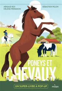 Poneys et chevaux : un super-livre à pop-up