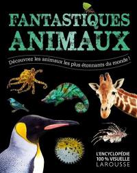 Fantastiques animaux : découvrez les animaux les plus étonnants du monde !