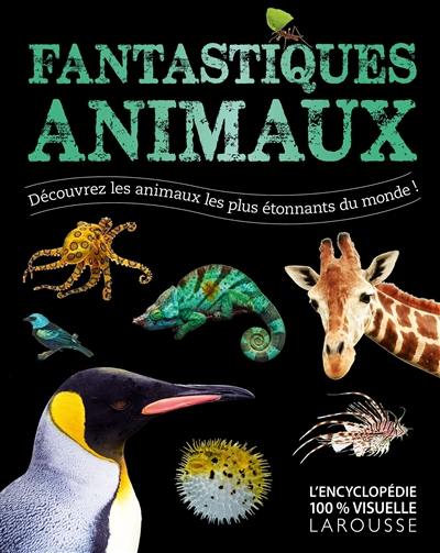 Fantastiques animaux : découvrez les animaux les plus étonnants du monde !