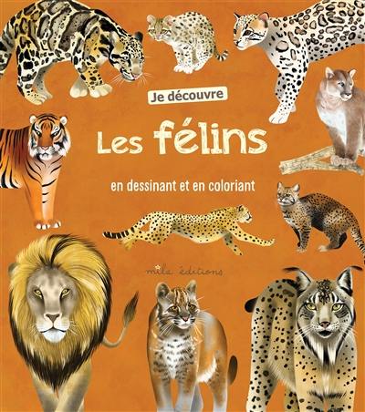 Je découvre les félins en dessinant et en coloriant