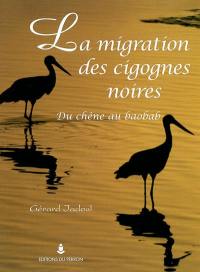 La migration des cigognes noires : du chêne au baobab