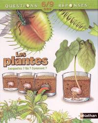 Les plantes : lesquelles ? Où ? Comment ?