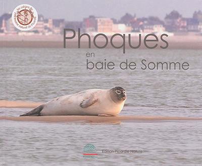 Phoques en baie de Somme