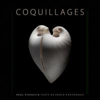 Coquillages