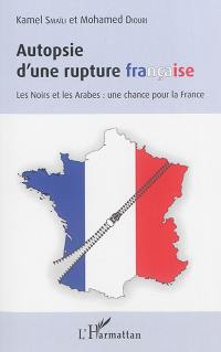 Autopsie d'une rupture française : les Noirs et les Arabes : une chance pour la France