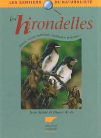 Les hirondelles : description, moeurs, observation, protection, mythologie...