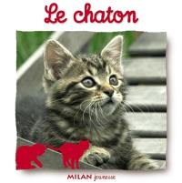 Le chaton