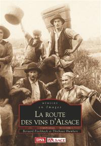 La route des vins d'Alsace