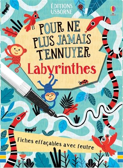 Labyrinthes : fiches effaçables avec feutre