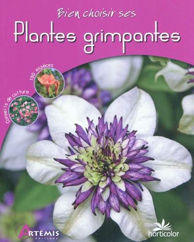 Bien choisir ses plantes grimpantes