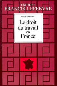 Le droit du travail en France : principes et approche pratique du droit du travail