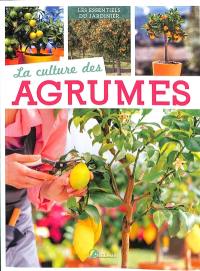 La culture des agrumes