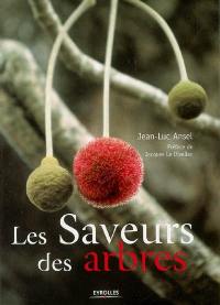 Les saveurs des arbres