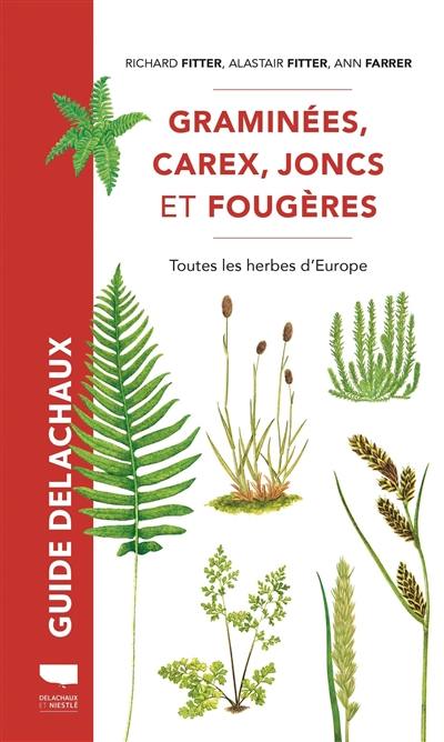 Graminées, carex, joncs et fougères : toutes les herbes d'Europe