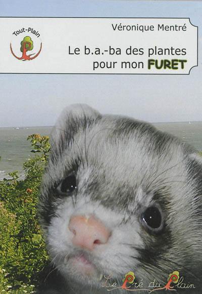 Le b.a.-ba des plantes pour mon furet