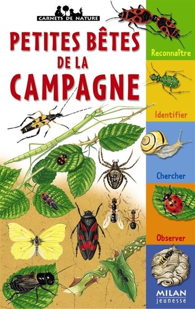 Petites bêtes de la campagne : reconnaître, identifier, chercher, observer