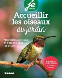 Accueillir les oiseaux au jardin : Nos meilleurs trucs et astuces pour les attirer