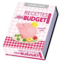 Recettes mini budget en 365 jours