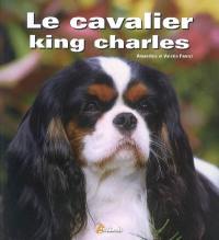 Le cavalier king charles