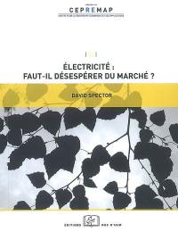 Electricité, faut-il désespérer du marché ?