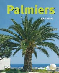 Palmiers