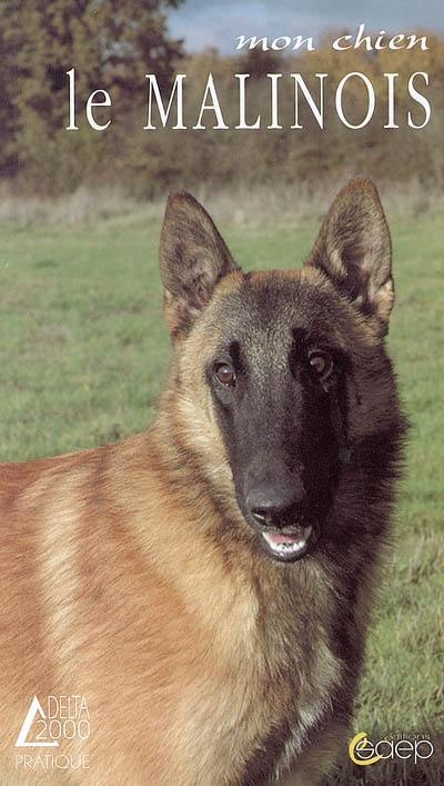 Le malinois : un chien doux et vigilant