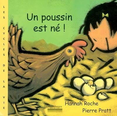 Un poussin est né !