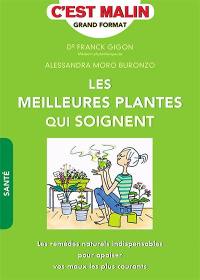 Les meilleures plantes qui soignent : les remèdes naturels indispensables pour apaiser vos maux les plus courants