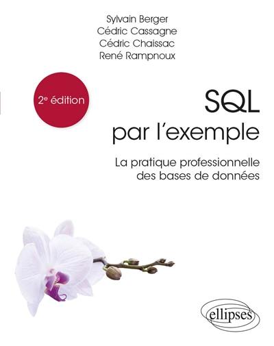 SQL par l'exemple : la pratique professionnelle des bases de données