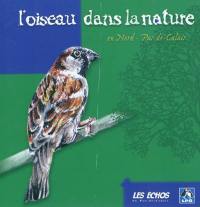 L'oiseau dans la nature en Nord-Pas-de-Calais