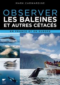 Observer les baleines et autres cétacés en France et en Europe