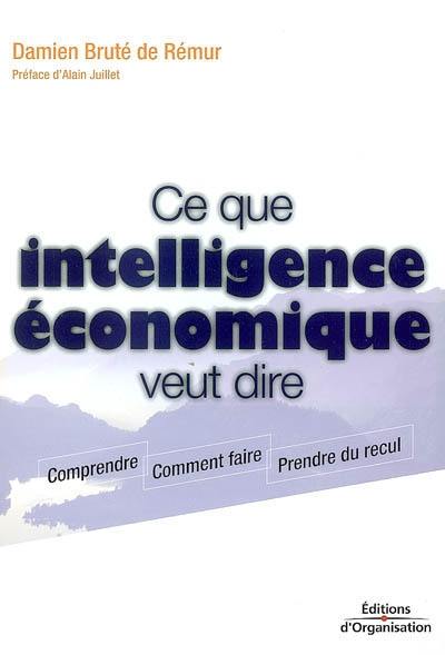 Ce que intelligence économique veut dire : comprendre, comment faire, prendre du recul