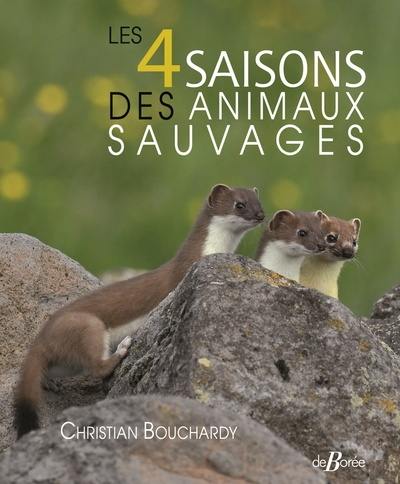 Les 4 saisons des animaux sauvages