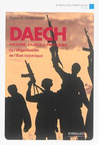 Daech : histoire, enjeux et pratiques de l'organisation Etat islamique