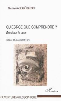 Qu'est-ce que comprendre ? Essai sur le sens