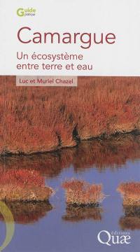 Camargue : un écosystème entre terre et eau