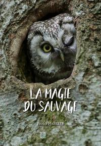 La magie du sauvage