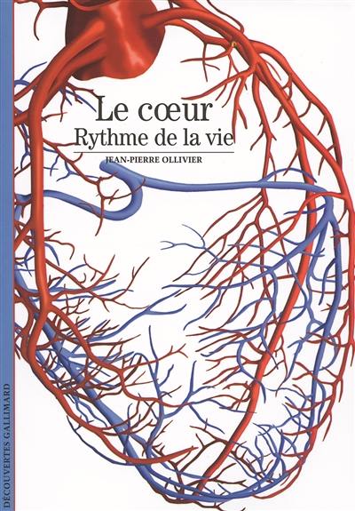 Le coeur : rythme de la vie