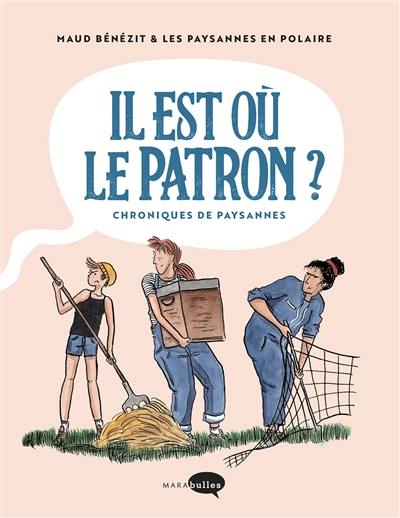 Il est où le patron ? : chroniques de paysannes