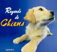 Regards de chiens