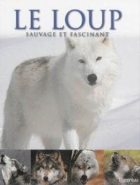 Le loup : sauvage et fascinant