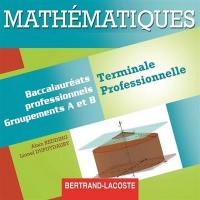 Mathématiques, terminale professionnelle, baccalauréats professionnels : groupements A et B : CD professeur