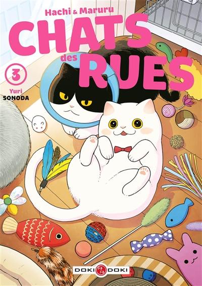 Hachi & Maruru : chats des rues. Vol. 3