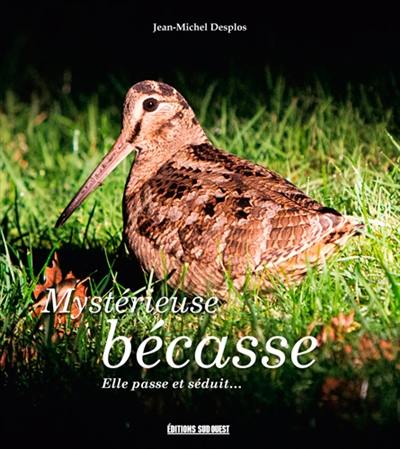 Mystérieuse bécasse : elle passe et séduit...