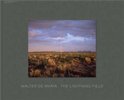 Walter De Maria : Lightning Field