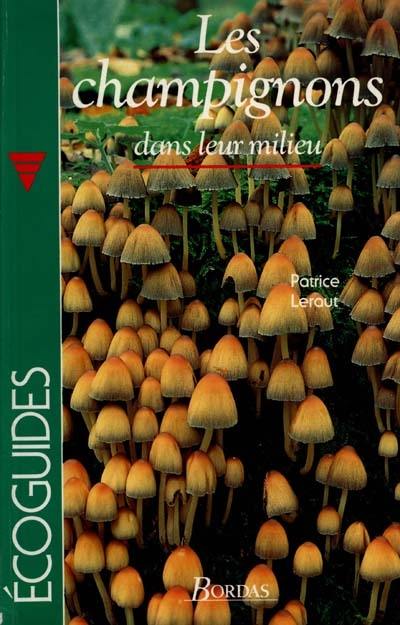 Les Champignons : dans leur milieu