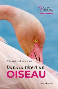 Dans la tête d'un oiseau