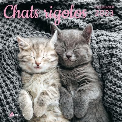 Chats rigolos : calendrier 2023 : de septembre 2022 à décembre 2023 Chats rigolos : calendrier 2023 : de septembre 2022 à décembre 2023