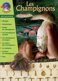 Les champignons