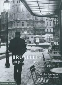 Bruxelles : un jour en hiver